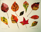 Ten Leaves